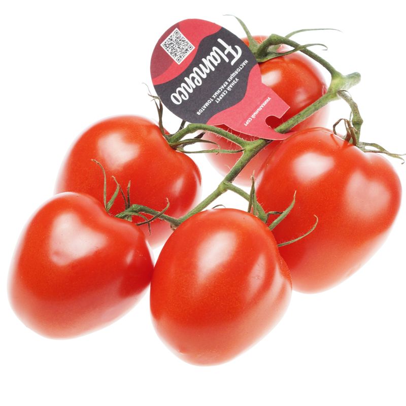 Помидоры сливка красная Фламенко Россия ~600г мужская футболка красные помидоры на ветке овощи томаты 2xl белый