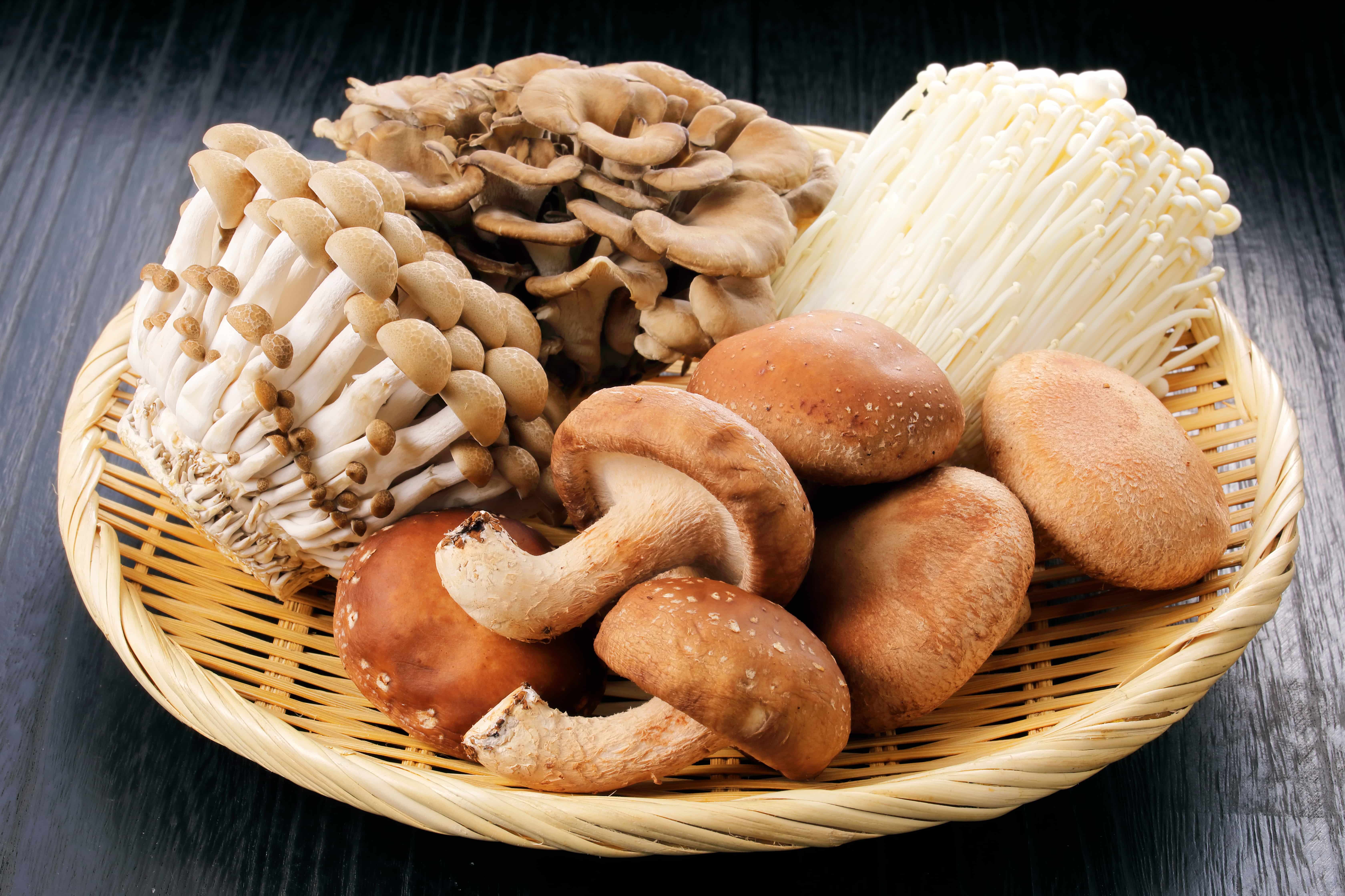 Shiitake houby jak vařit, recepty, výhody, vlastnosti