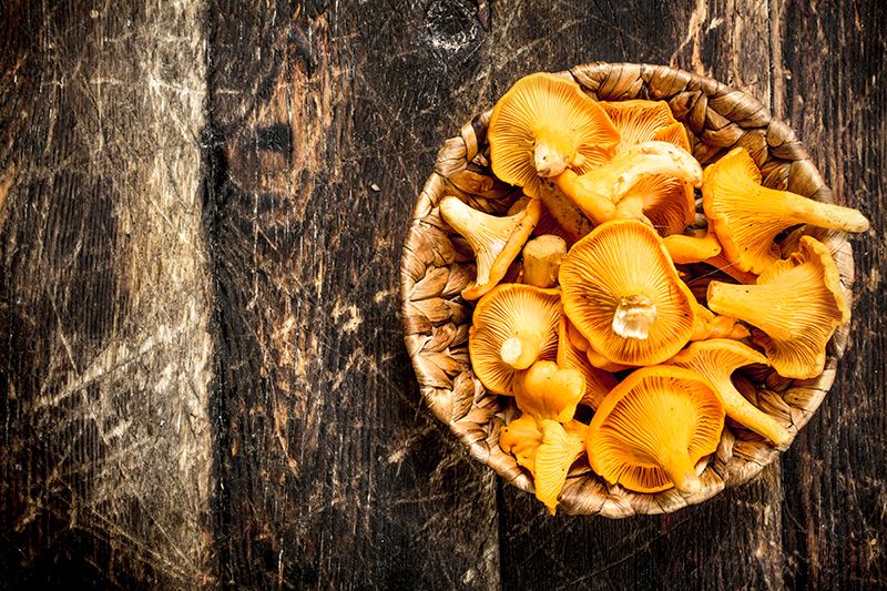 Как промыть лисички, не повредив их?