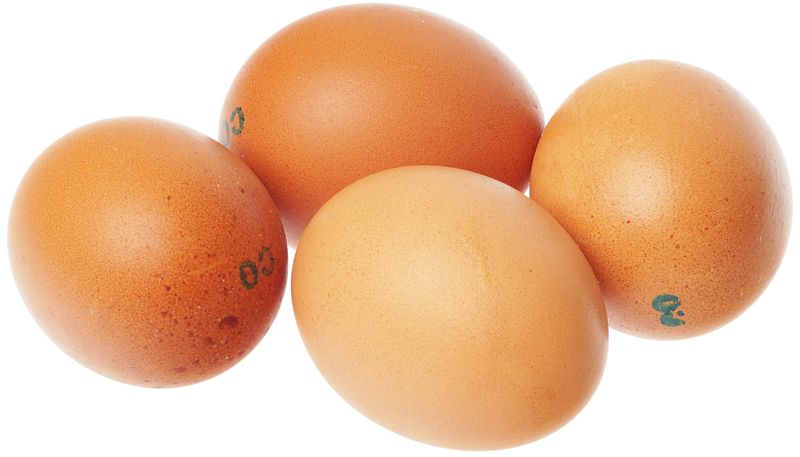 Яйцо куриное органическое С0 10шт цена и фото