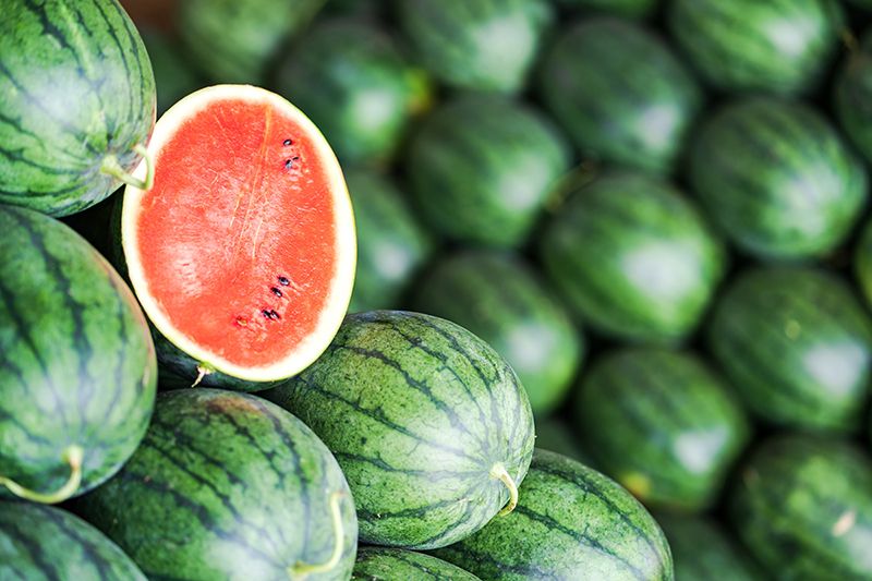 Выбираем арбуз правильно