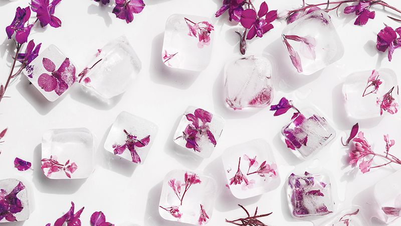 Цветочный лед