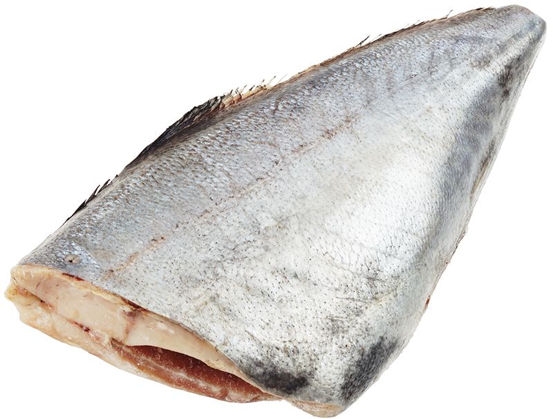 Самая жирная рыба: сериолелла | Бесплатные | НОВОСТИ КОМПАНИЙ — биржевые-записки.рф