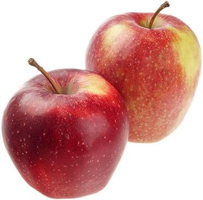 Сорта крупных красных яблок