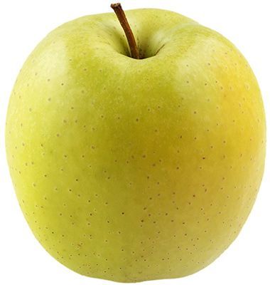 Сорта желто-зеленых яблок