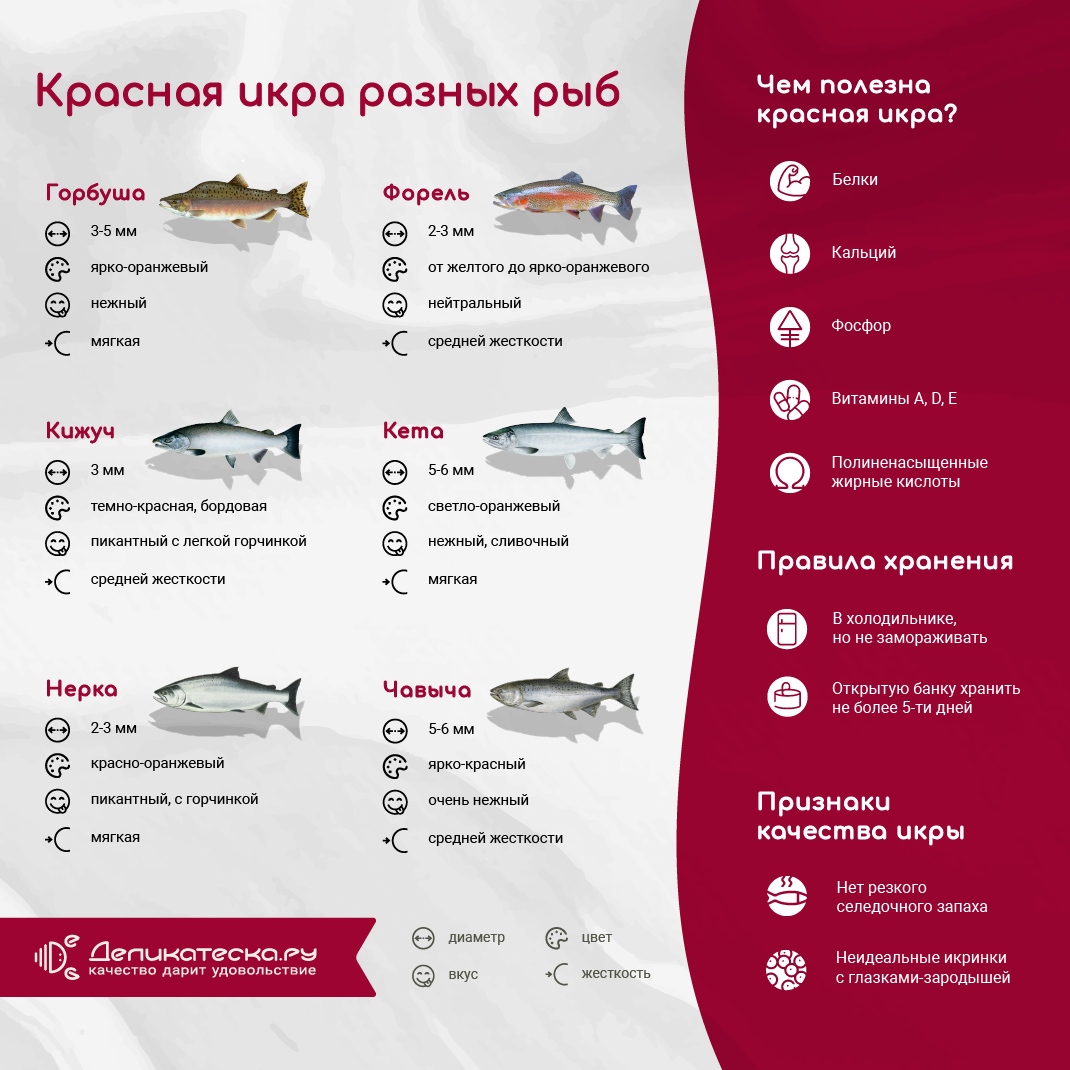 Чем отличается красная икра разных рыб? - Статьи и лайфхаки от  Деликатеска.ру