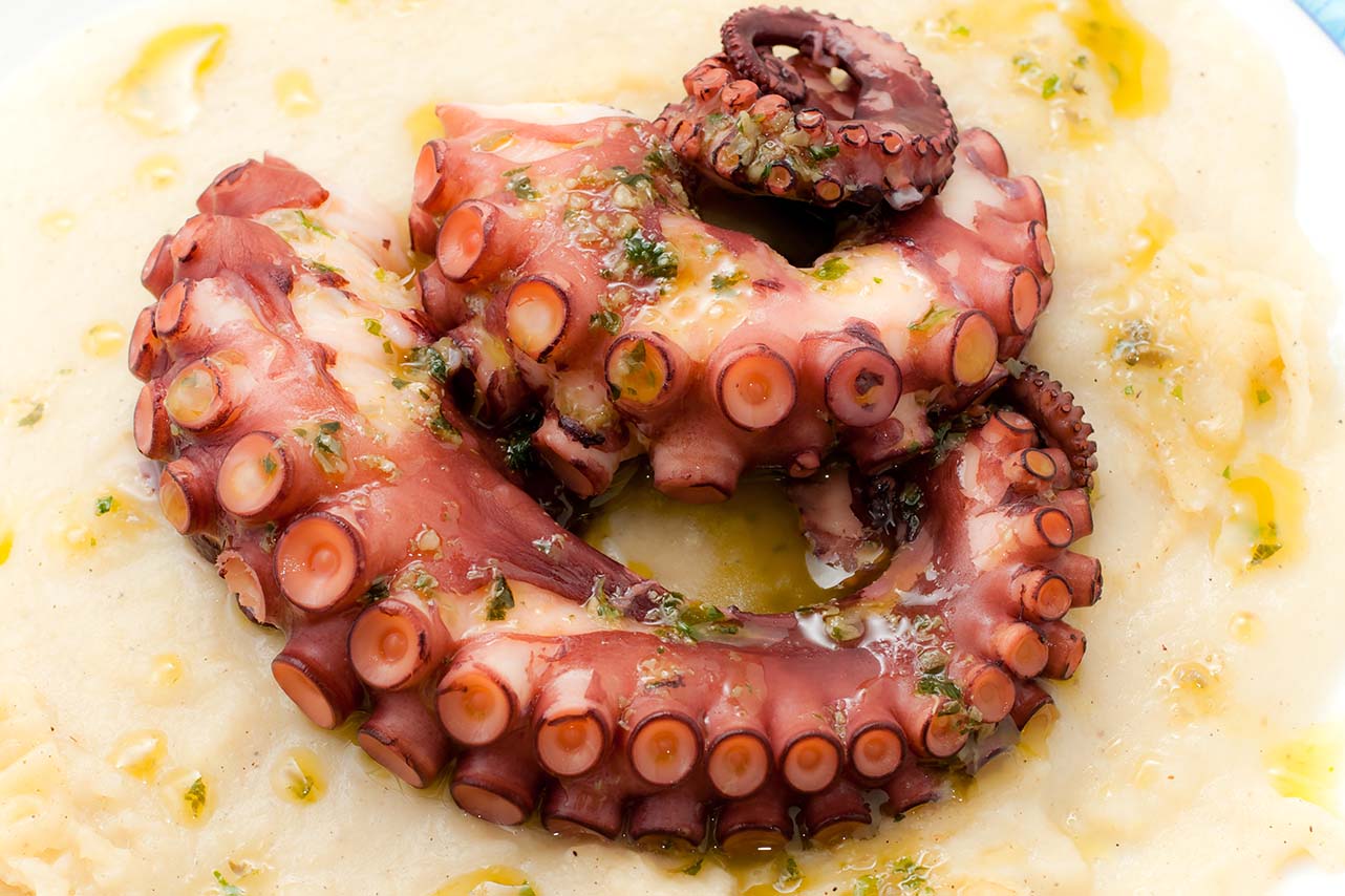Как приготовить осьминога в домашних условиях: лучшие рецепты и секреты приготовления