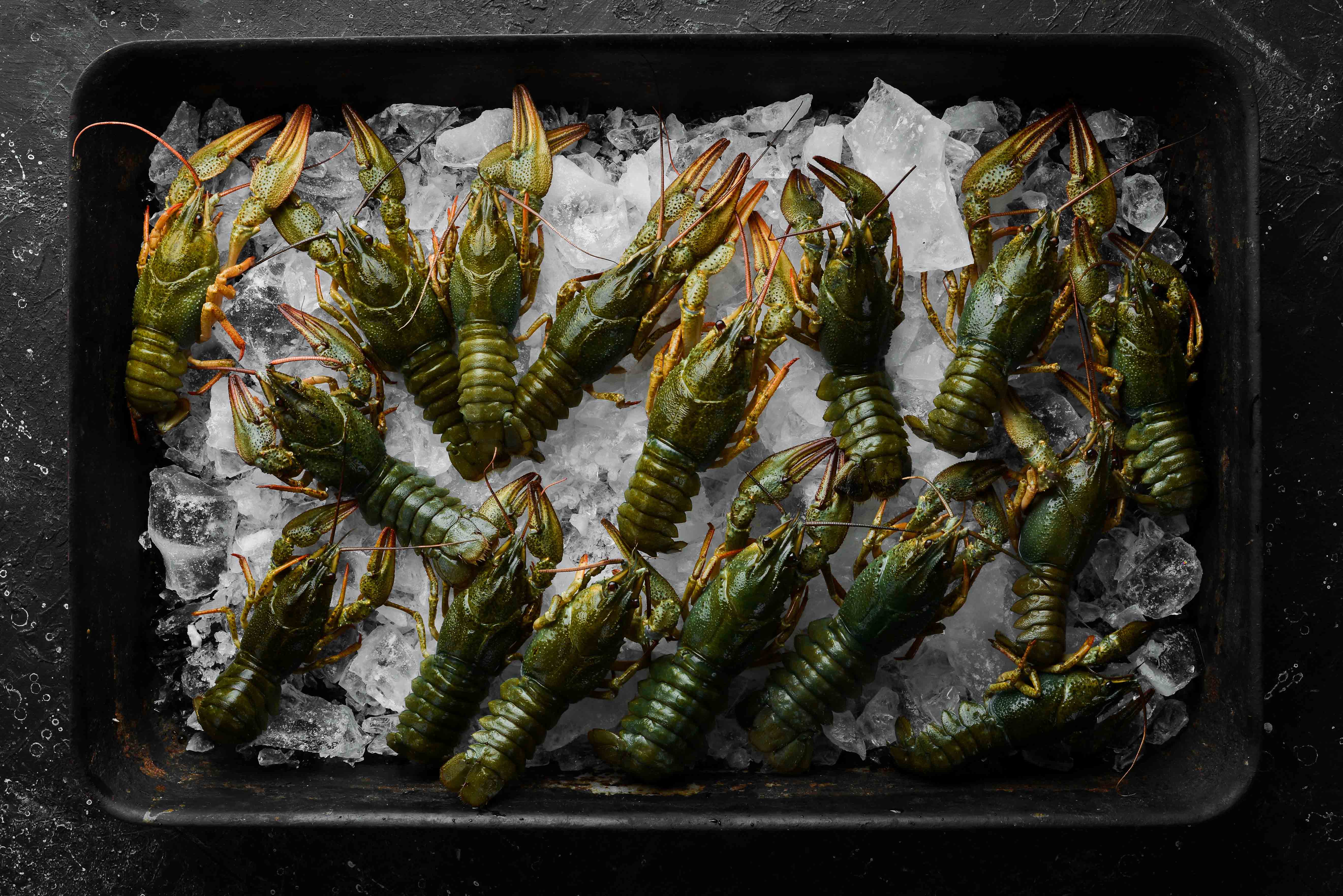 Как выбрать и приготовить раков