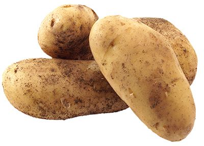 Картофель молодой Египет ~2кг картофель гулливер 2кг