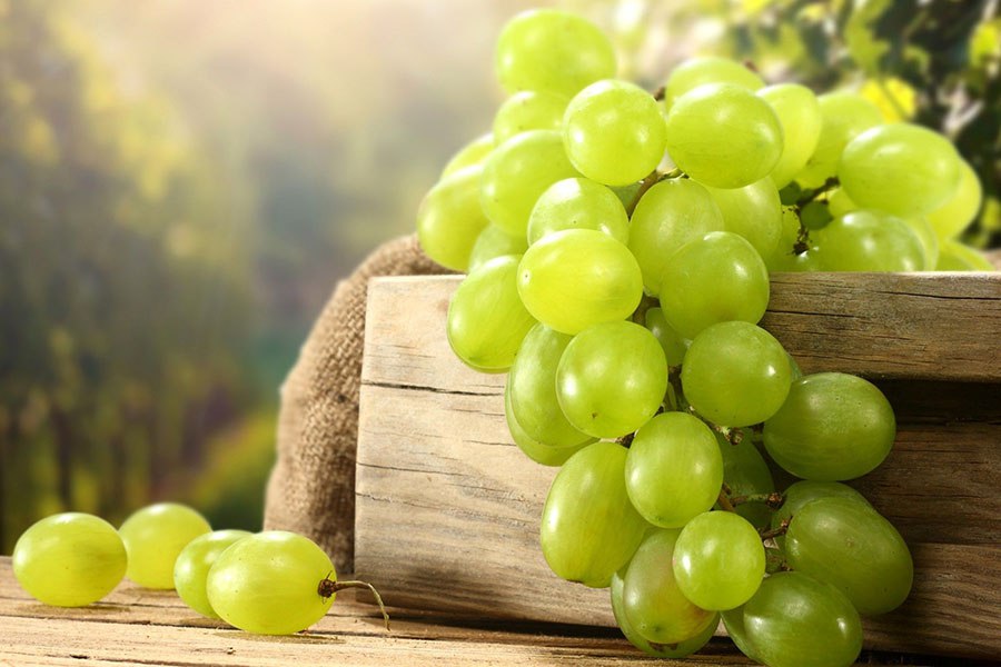 виноград