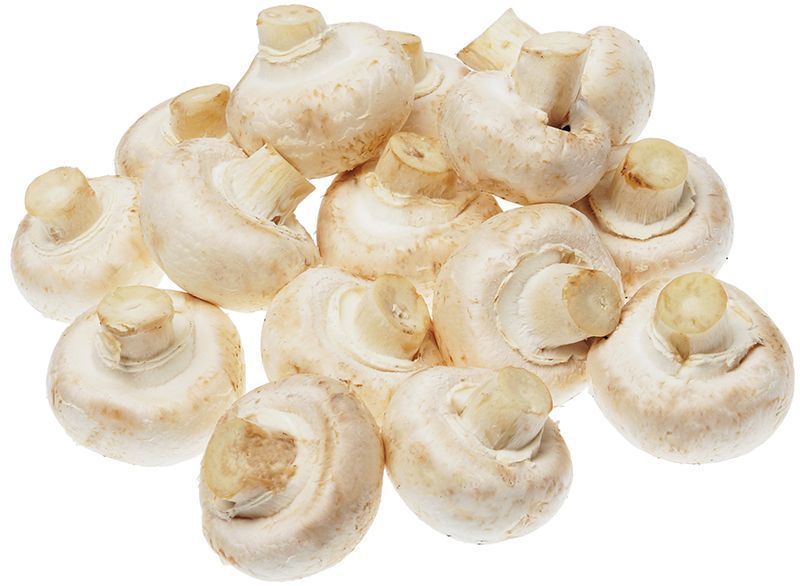 Шампиньоны свежие 250г грибы шампиньоново белые шампиньоны 250 г