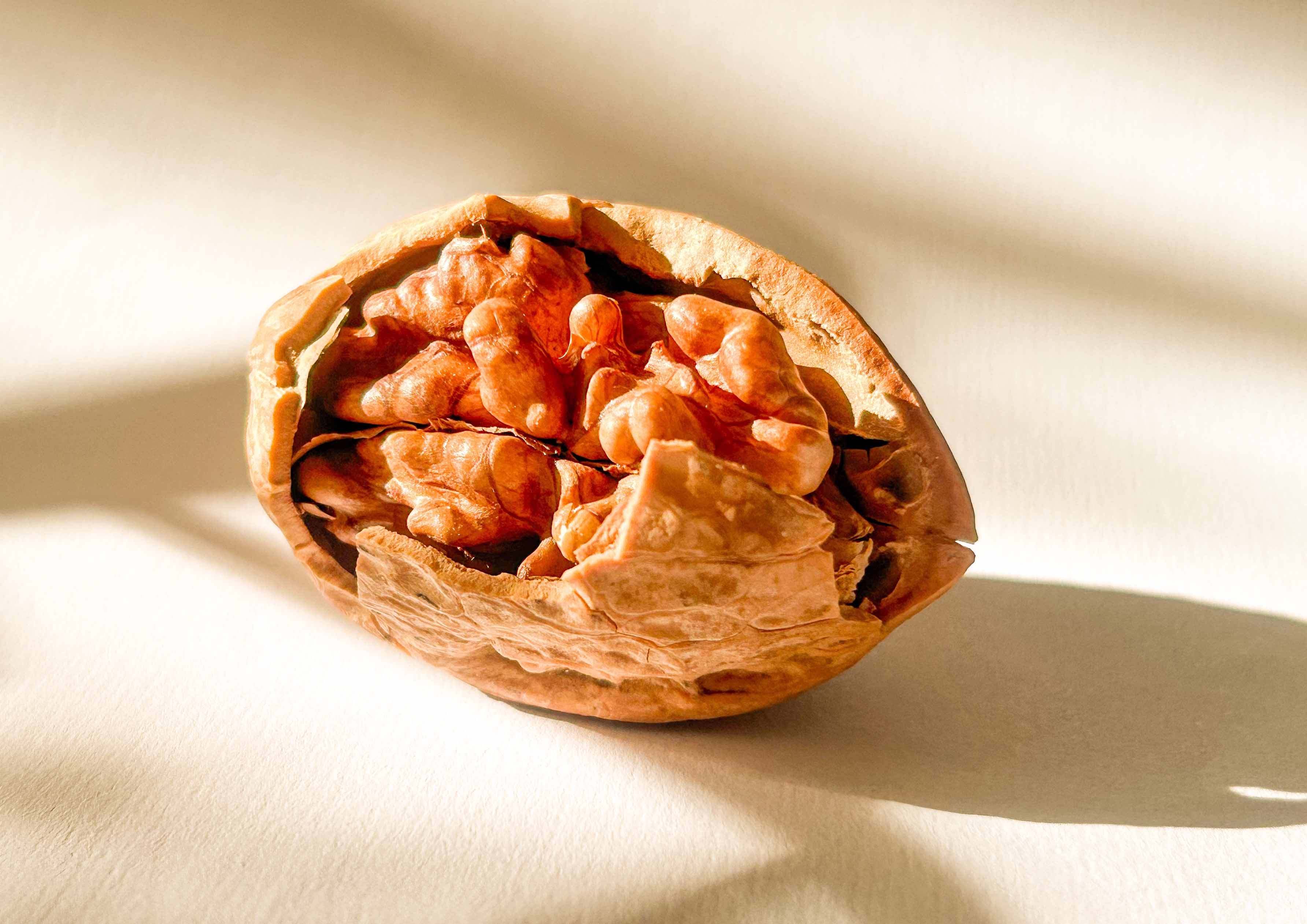 Польза грецкого ореха для мозга