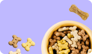 Рацион дляпитомца