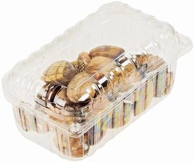 Морской петушок Вонголе в раковине живой ~500г-1}