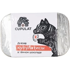 Драже шоколадное мякоть купуасу в темном шоколаде Cupulat 40г
