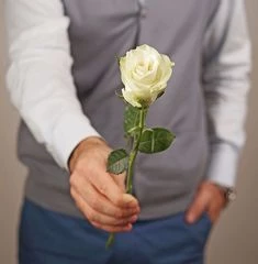 Роза белая Гратена ~50см 1шт