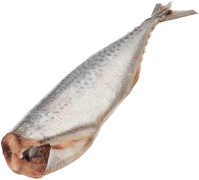 Макрель голубая замороженная 1,2кг-0}