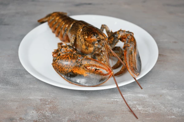 Лобстера разморозить естественным способом на нижней полке холодильника, промыть под проточной водой.  