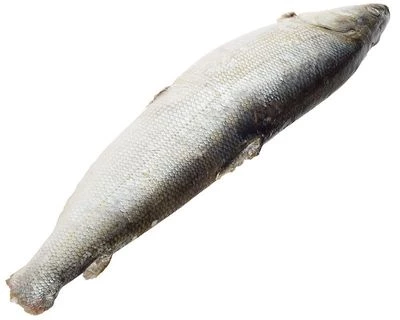 Нельма таймырская тушка ~1,5кг-1}