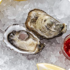 Устрица Супер Специаль Vita