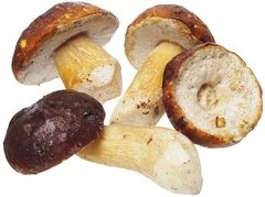 Грибы белые средние Карелия ~300г