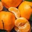 thumb-Мандарины Халлабон Китай ~900г-1}