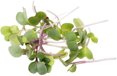 Микрозелень Кольраби 40г-0}