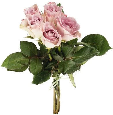 Букет роз Мемори Лейн 5шт-0}