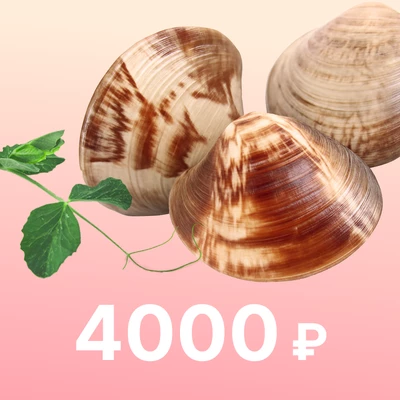 Сертификат на 4000 рублей Деликатеска-0}