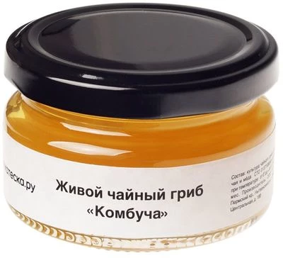 Живой чайный гриб Комбуча 100г-1}