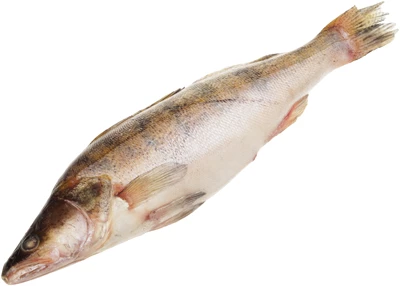 Судак целый замороженный ~3,5кг-0}