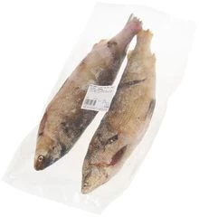 Чир таймырский