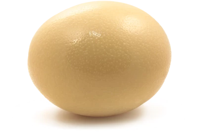 Яйцо страуса 1шт-0}