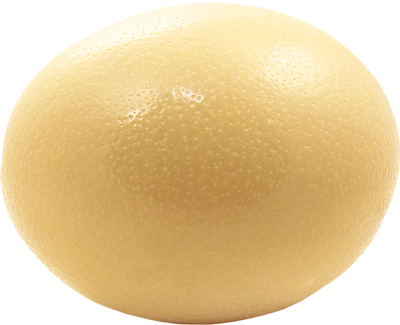 Яйцо страуса черного 1шт-0}