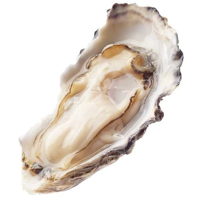 Устрица живая Baliuje 1шт-0}