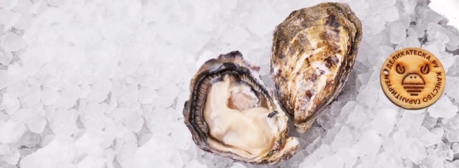 Живые морепродукты