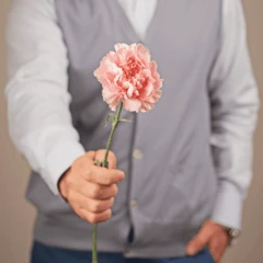 Гвоздика розовая Донсел ~50см 1шт
