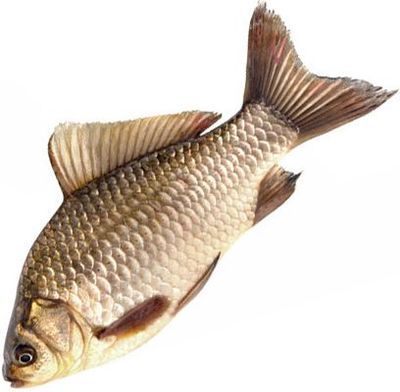 Карась охлажденный ~1,5кг купить в Москве с доставкой на дом от ...