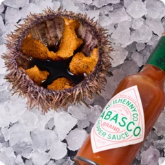 Еж с соусом понзу и табаско