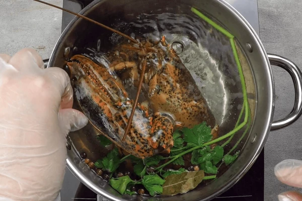  Заложить лобстера в воду, еще раз довести до кипения и варить около 15 минут, в зависимости от размера. Для 1-1,2кг этого достаточно, можно увеличить на 5-7 минут. 