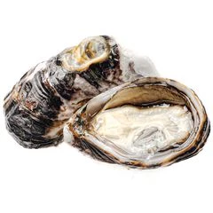 Устрица Моана Новая Зеландия ~50г 