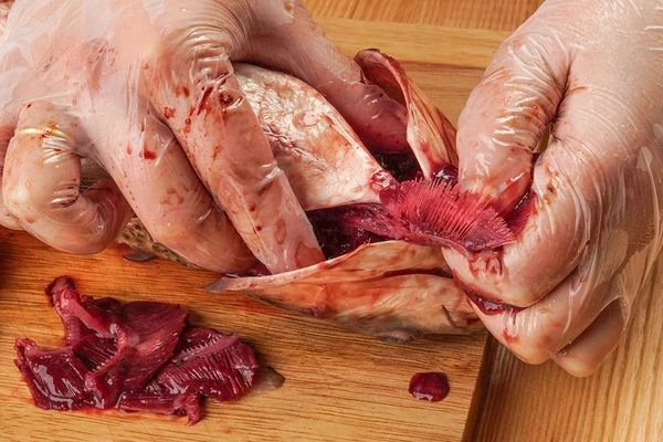 Вырезать жабры.