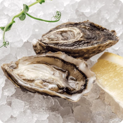 Устрица Муроцу 1шт-0}