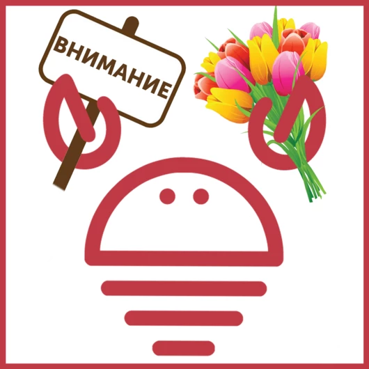 Обновление условий доставки и бонусной программы