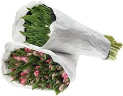 Букет тюльпанов 50шт