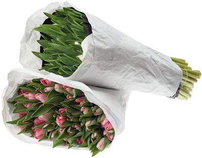 Букет тюльпанов 50шт-0}