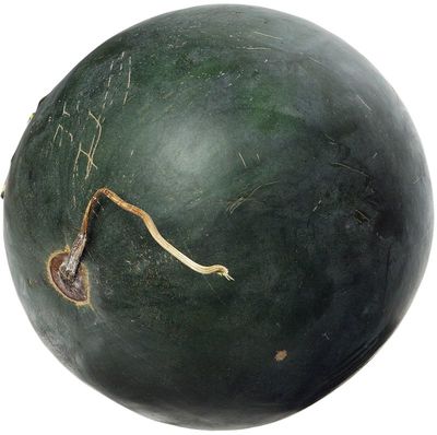 Арбуз Черный Принц ~6кг-0}