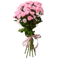 Букет хризантем Нежность 7шт