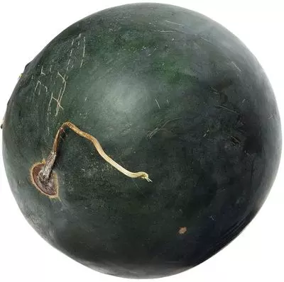 Арбуз Черный Принц ~4кг купить в Москве с доставкой на дом от интернет магазина