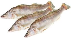 Судак замороженный ~1,2кг